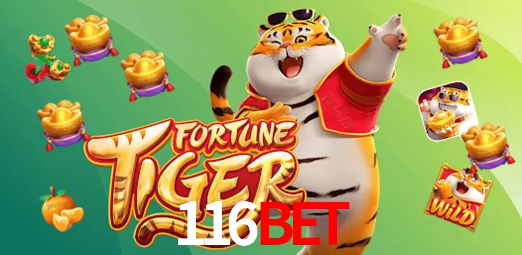 Basketball Betting 116BET
